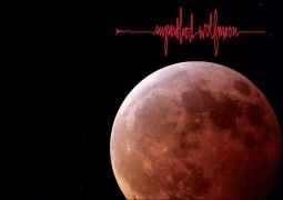 Pearl Jam - Superblood Wolfmoon