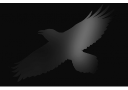 Sigur Rós - Odin's Raven Magic