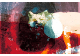 Mogwai As The Love Continues