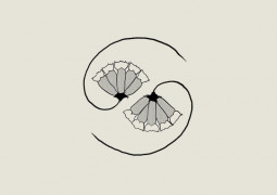 Godspeed You! Black Emperor publicarán nuevo disco en abril: G_d’s Pee AT STATE’S END!