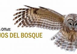 La editorial Sajalín rescata «Lejos del bosque» de Chris Offutt