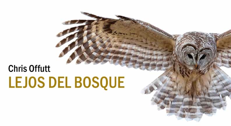 La editorial Sajalín rescata «Lejos del bosque» de Chris Offutt
