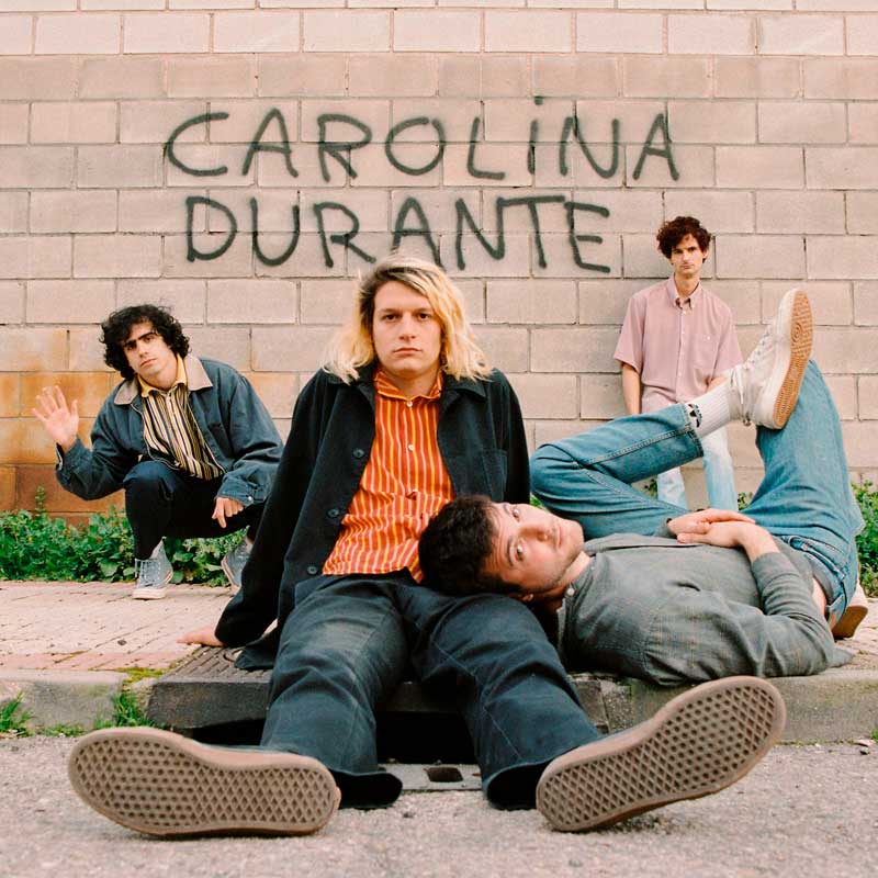 Carolina Durante La Planta Que Muere En La Esquina