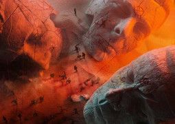 Muse Will of the People