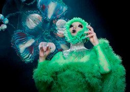 Björk Ovule