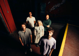los punsetes cerdos