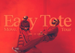 toteking easy-s