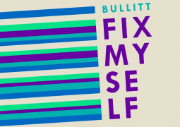 Bullitt fix myself