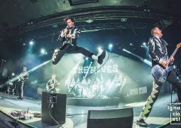 The Hives al road to rio babel