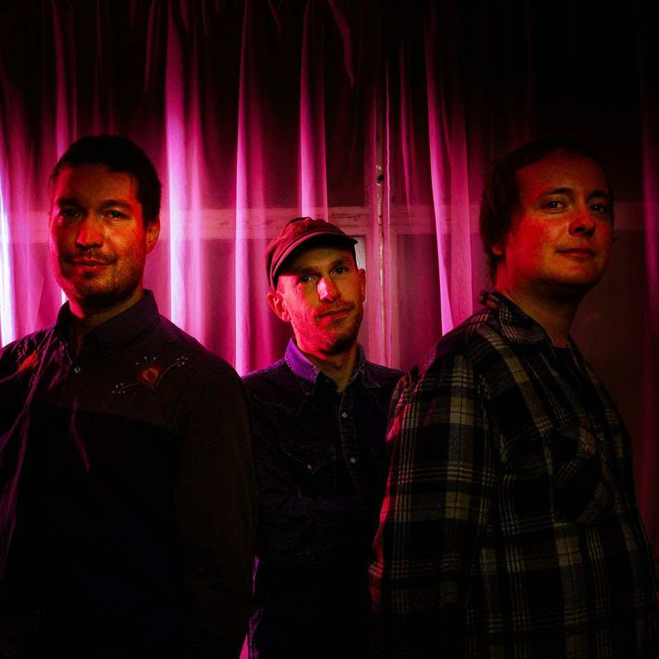 The Wave Pictures en España