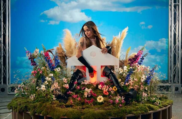 Yo solo quería escribir una canción de amor