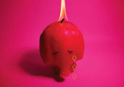 Arcade Fire - Pink Elephant