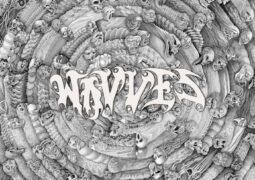 Wavves Spun