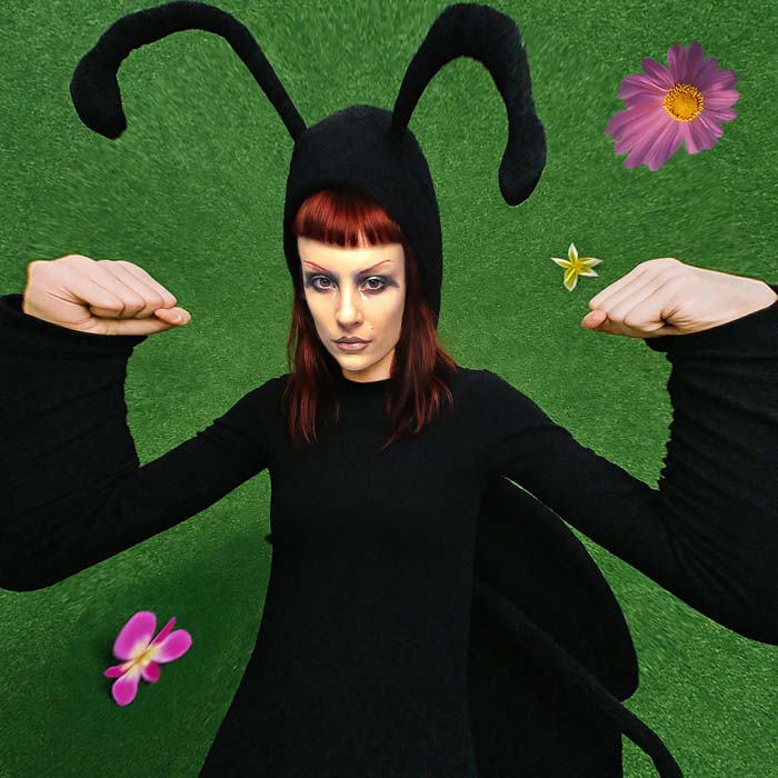 Casero Nada es suficiente