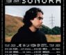 gira depresión sonora