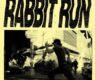 IDLES Rabbit Run