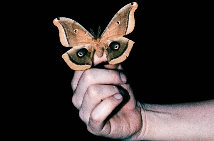 Soulwax All Systems Are Lying