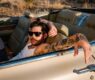 Wavves en España