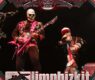 Limp Bizkit Resurrection Fest 2026