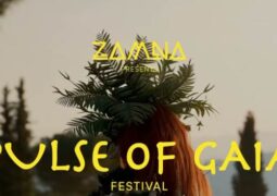 Horarios Pulse of Gaia