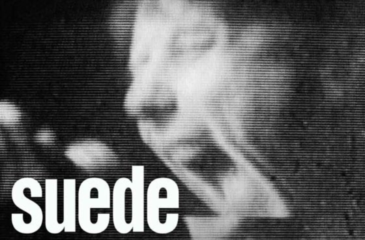 Suede en España