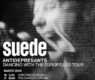 Suede en España