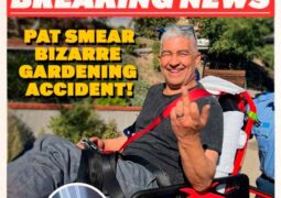 Pat Smear accidente