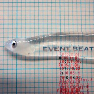 holy fuck event beat