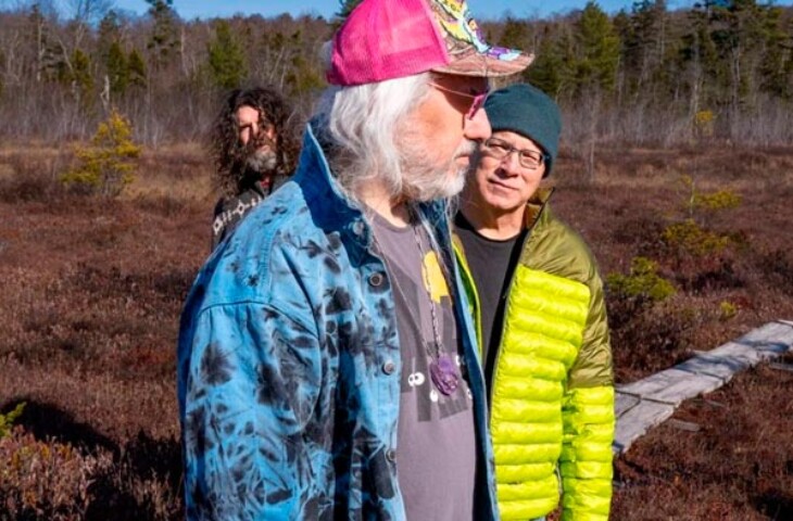 Dinosaur Jr There Near