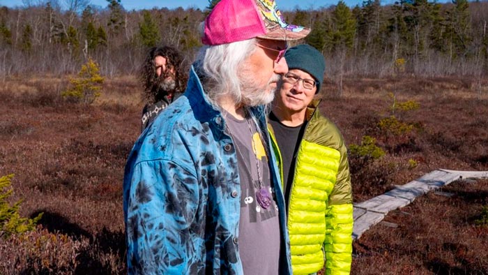 Dinosaur Jr There Near