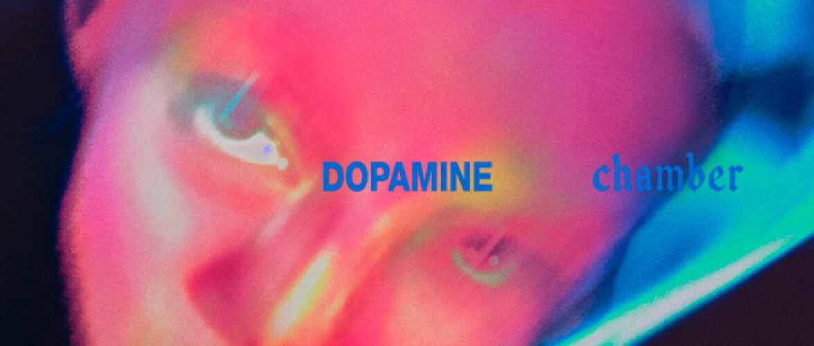 fontaines d.c. dopamine chamber
