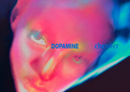 fontaines d.c. dopamine chamber