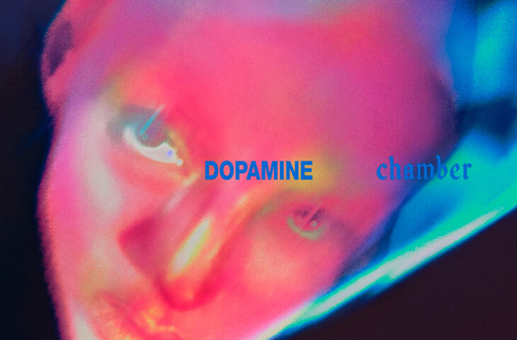 fontaines d.c. dopamine chamber