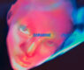 fontaines d.c. dopamine chamber