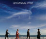 U2 carnaval de luz