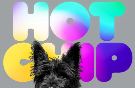 Hot Chip A Long Way From Kansas