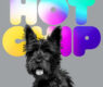 Hot Chip A Long Way From Kansas