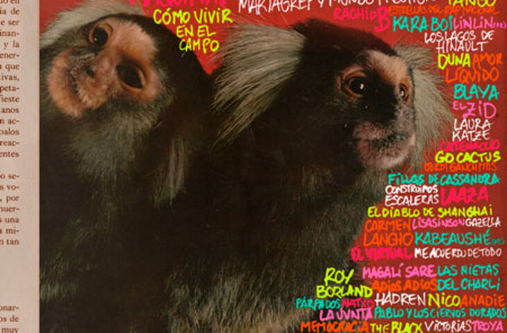 cartel monkey week 2026